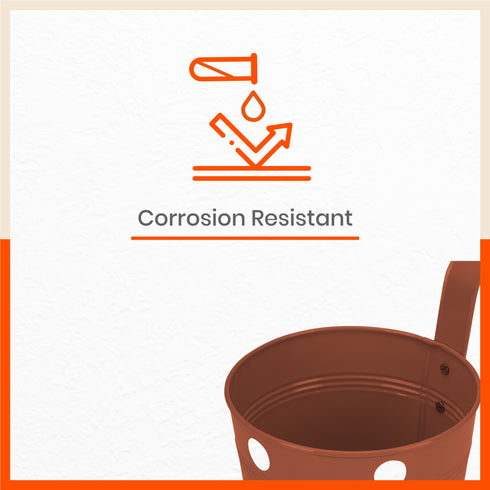 RUI Hanging Metal Pot Holders / Planters for Home / Balcony / Garden | Terra - Set of 5